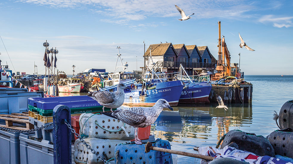 48 hours in Whitstable boats in harbour